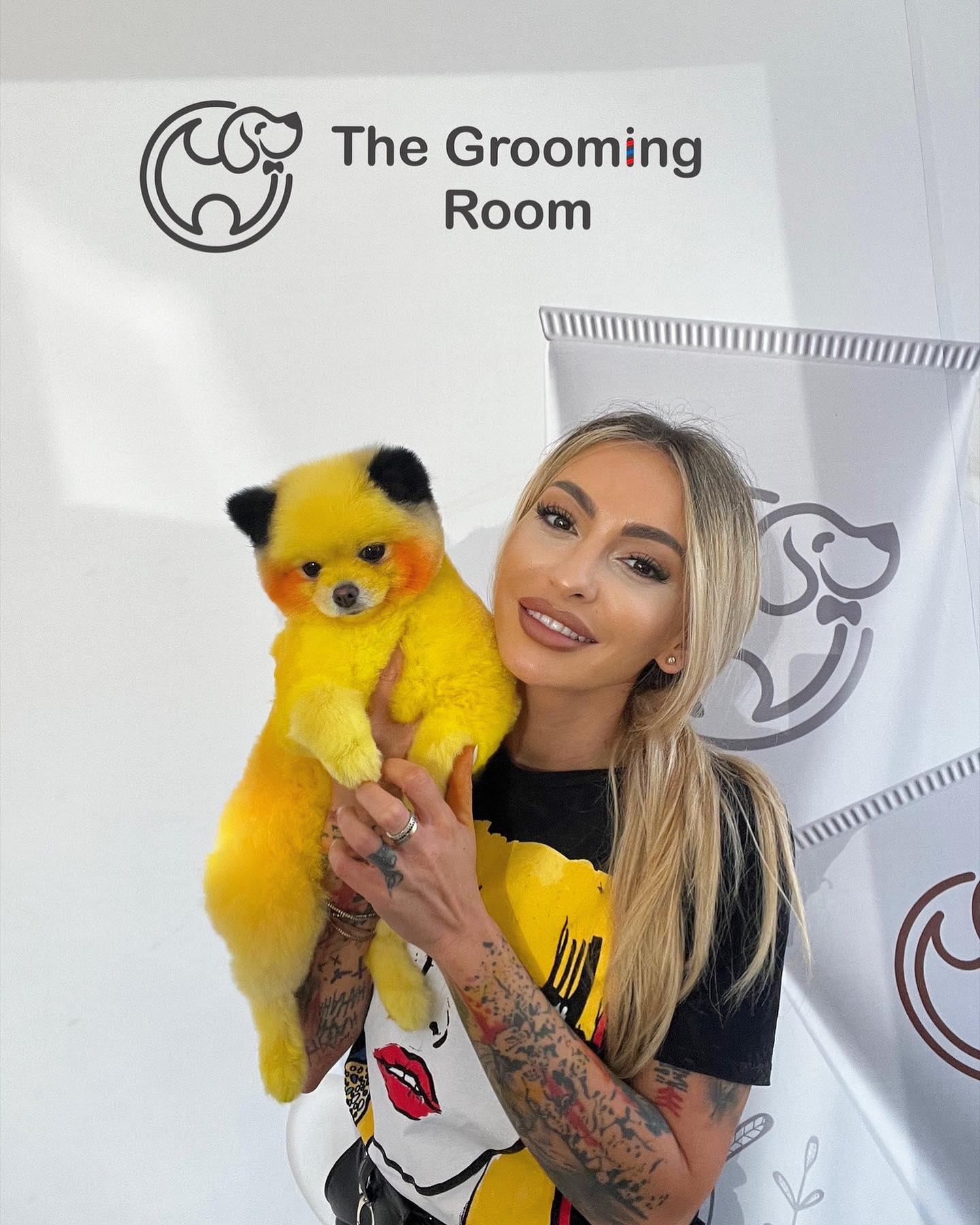 Noua tehnică în materie de toaletaj pentru animale