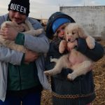 Alex Bogdan se pregateste sa se insoare