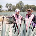 Cand incepe America Express