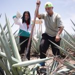 Cand incepe America Express