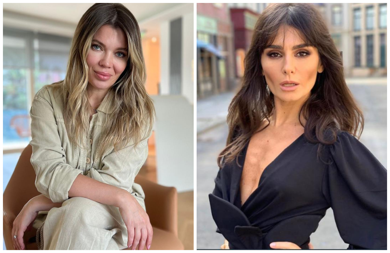 Reactia incredibila a Ginei Pistol despre Dana Budeanu