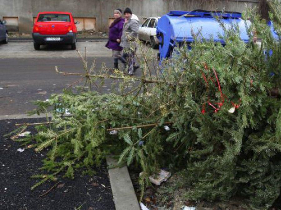 Ziua în care este bine să despodobești bradul de Crăciun