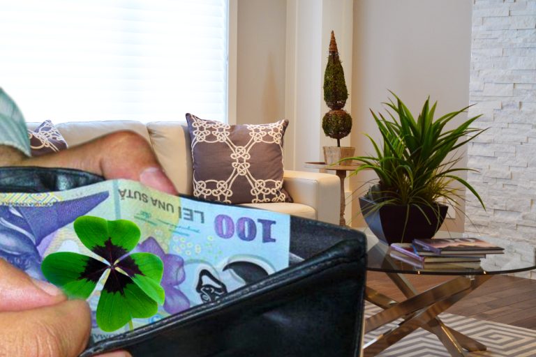 3 plante pe care trebuie să le ai în casă pentru a atrage banii în 2023. Aduc belșug și prosperitate