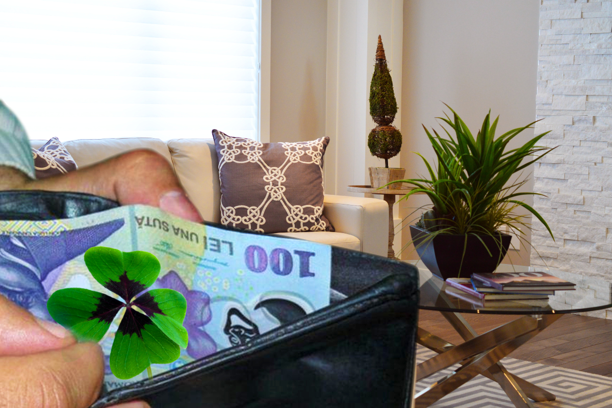 plante pe care trebuie sa le ai in casa pentru a atrage banii in 2023