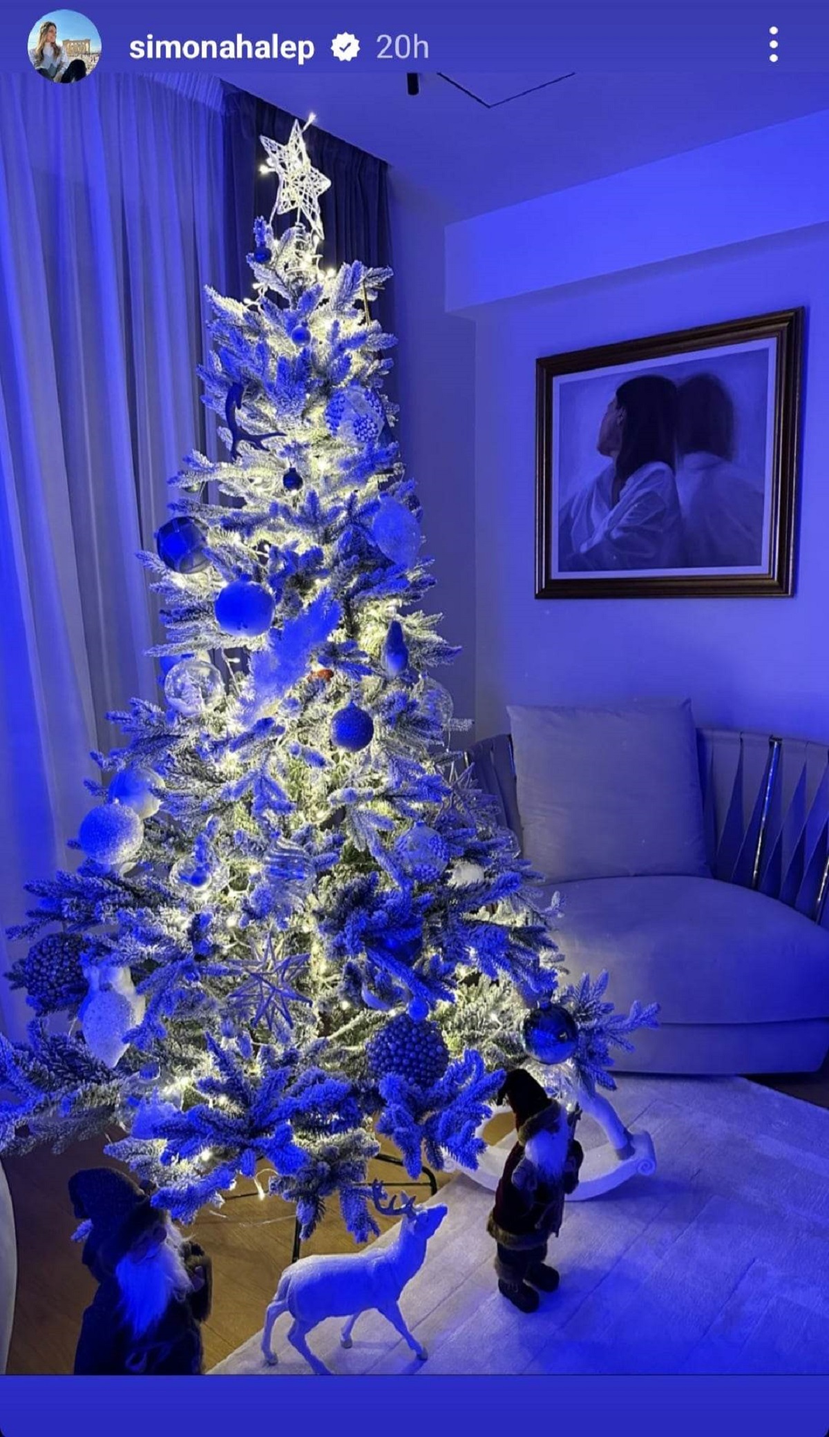 Ce a pus Simona Halep în bradul de Crăciun