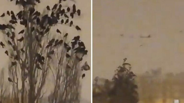 Ce s-a văzut pe cerul Turciei cu câteva minute înainte de cutremurul devastator. Imagini care îți dau fiori