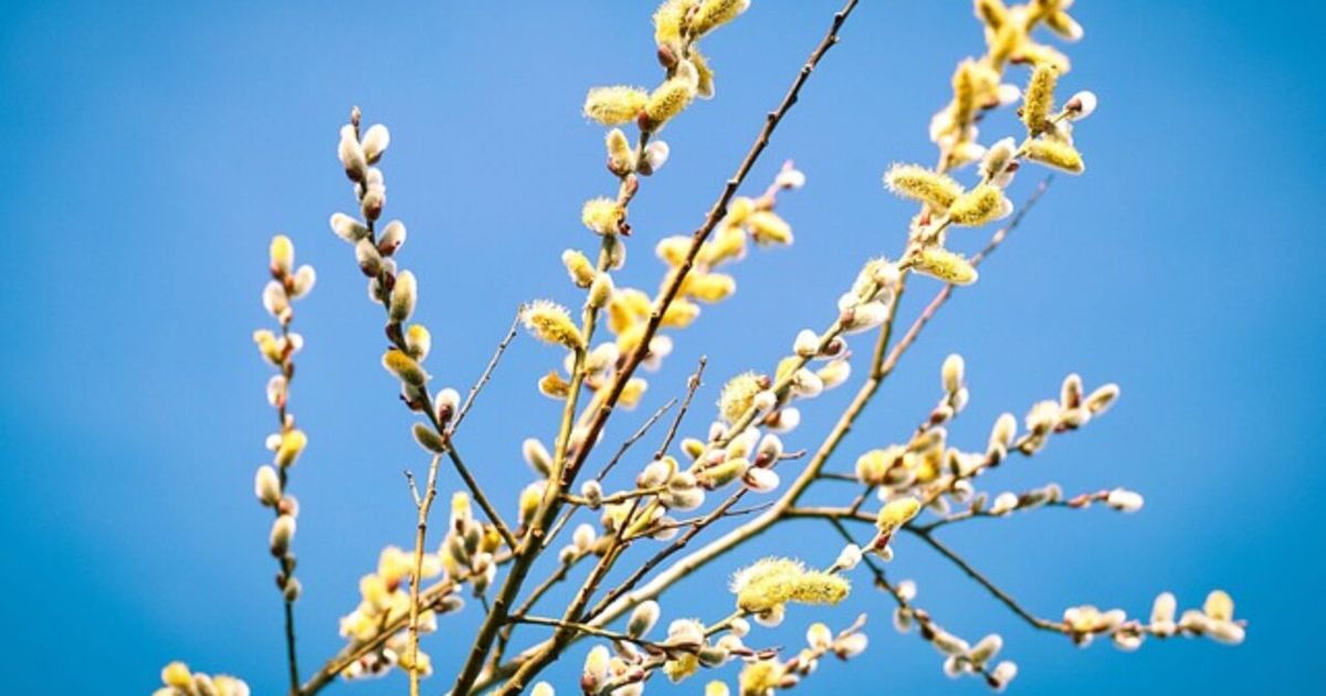 Când sunt Floriile în 2023