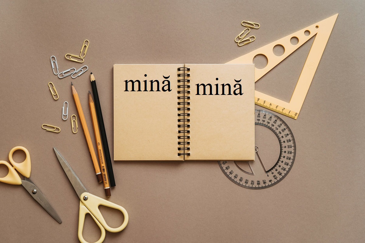 Ce înseamnă omonime