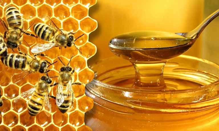 Câtă miere să mănânci zilnic. Cantitatea recomandată de specialiști