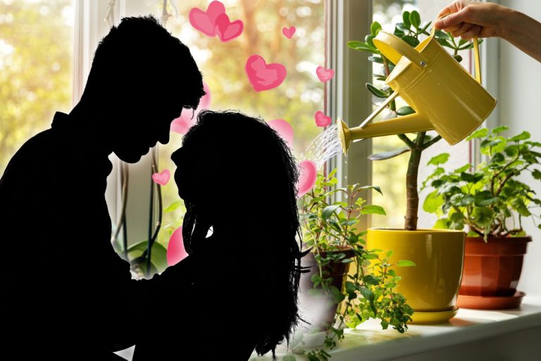 Plante care atrag dragostea în viața ta. Te ajută să îți găsești perechea