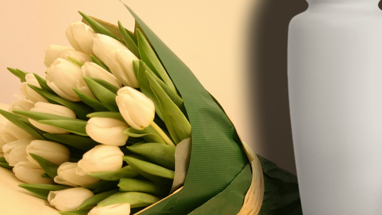 Ce flori se oferă de 1 și 8 Martie