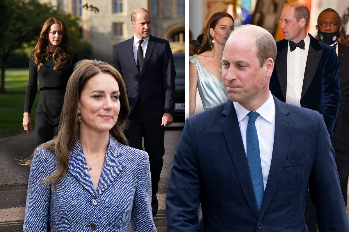 Ce s-ar întâmpla dacă Kate Middleton ar divorța de prințul William