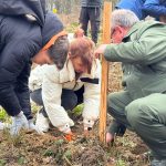 Imagini inedite cu Carmen Iohannis