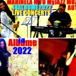 Marinela Nițu, în prezent