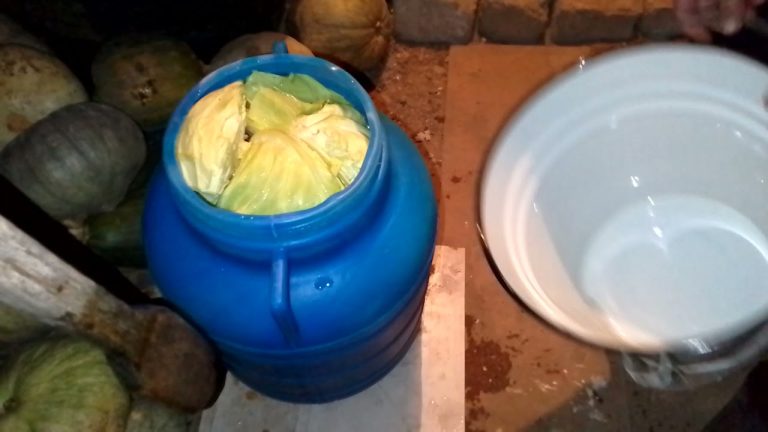 Ce trebuie să faci cu butoiul înainte de a așeza varza murată. Trucul pentru o aromă cu totul și cu totul deosebită