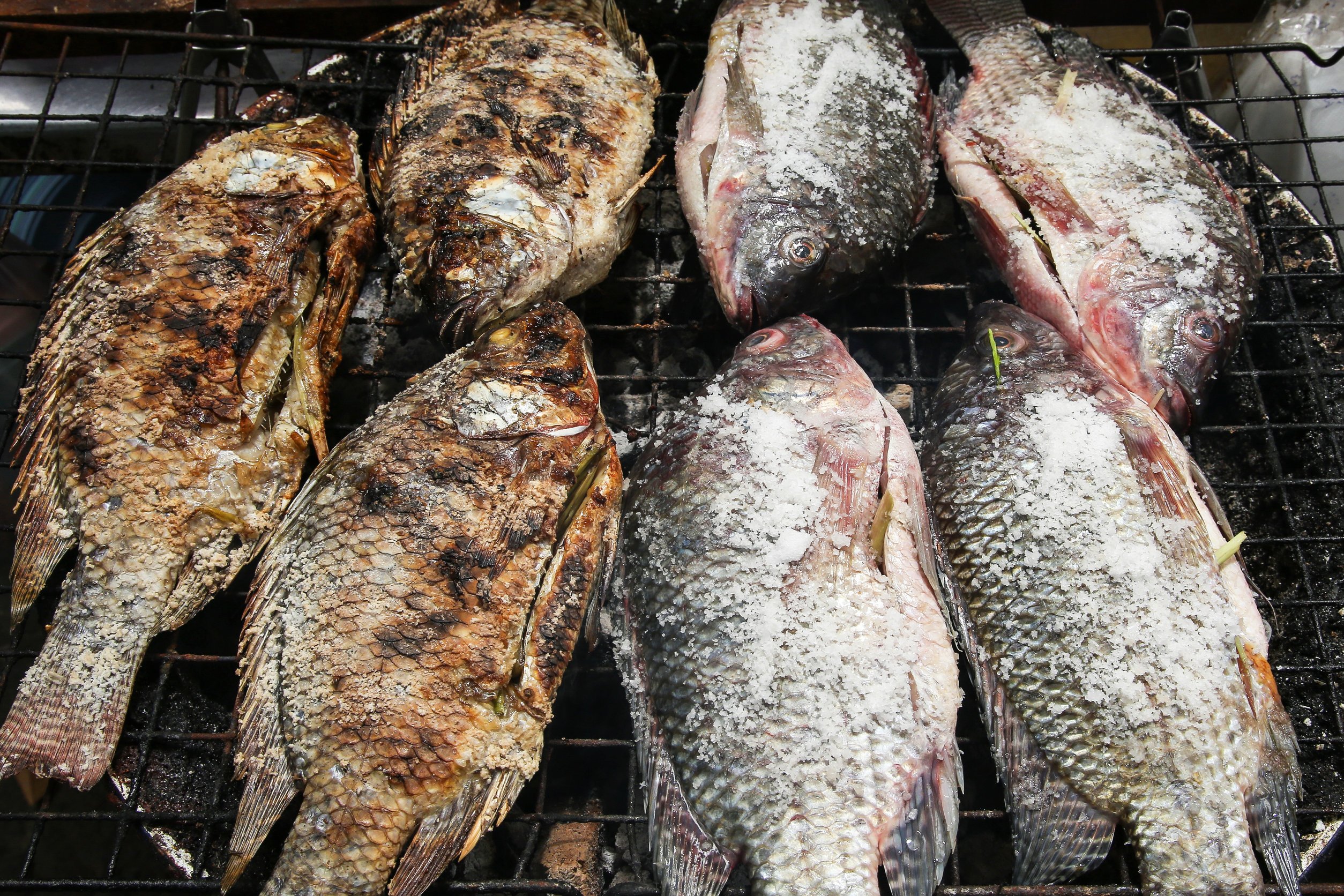 Cât se ține peștele pe grătar