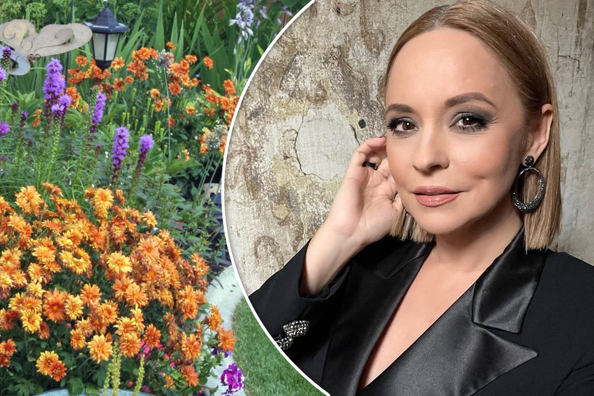 Cum arată casa de la țară a Andreei Marin