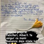 Fiul lui Andrei Stoica este campion la lupte spre disperarea mamei sale 2