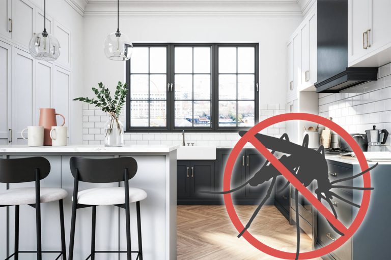 Ingredientul din bucătărie care te ajută să scapi de țânțari. Trucul e genial, trebuie să-l cunoști și tu