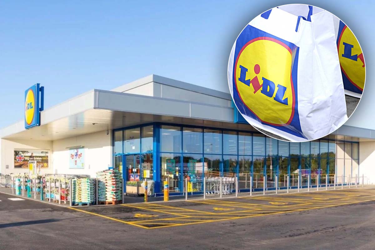 De unde provin de fapt iaurturile Pilos de la Lidl
