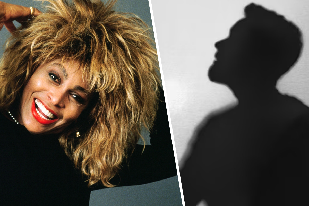 Bărbatul care i-a fost alături necondiționat Tinei Turner. I-a donat propriul rinichi