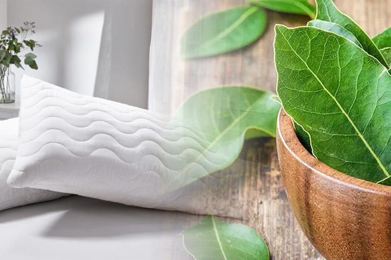 De ce să dormi cu frunze de dafin sub perne. Efectele sunt uimitoare, dar puțini le cunosc