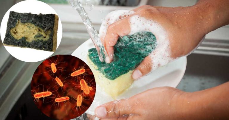 Cum poți să dezinfectezi bureții de bucătărie. Greșeala pe care o fac numeroase persoane