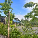 Gina Pistol și Smiley, primele imagini din ziua nunții