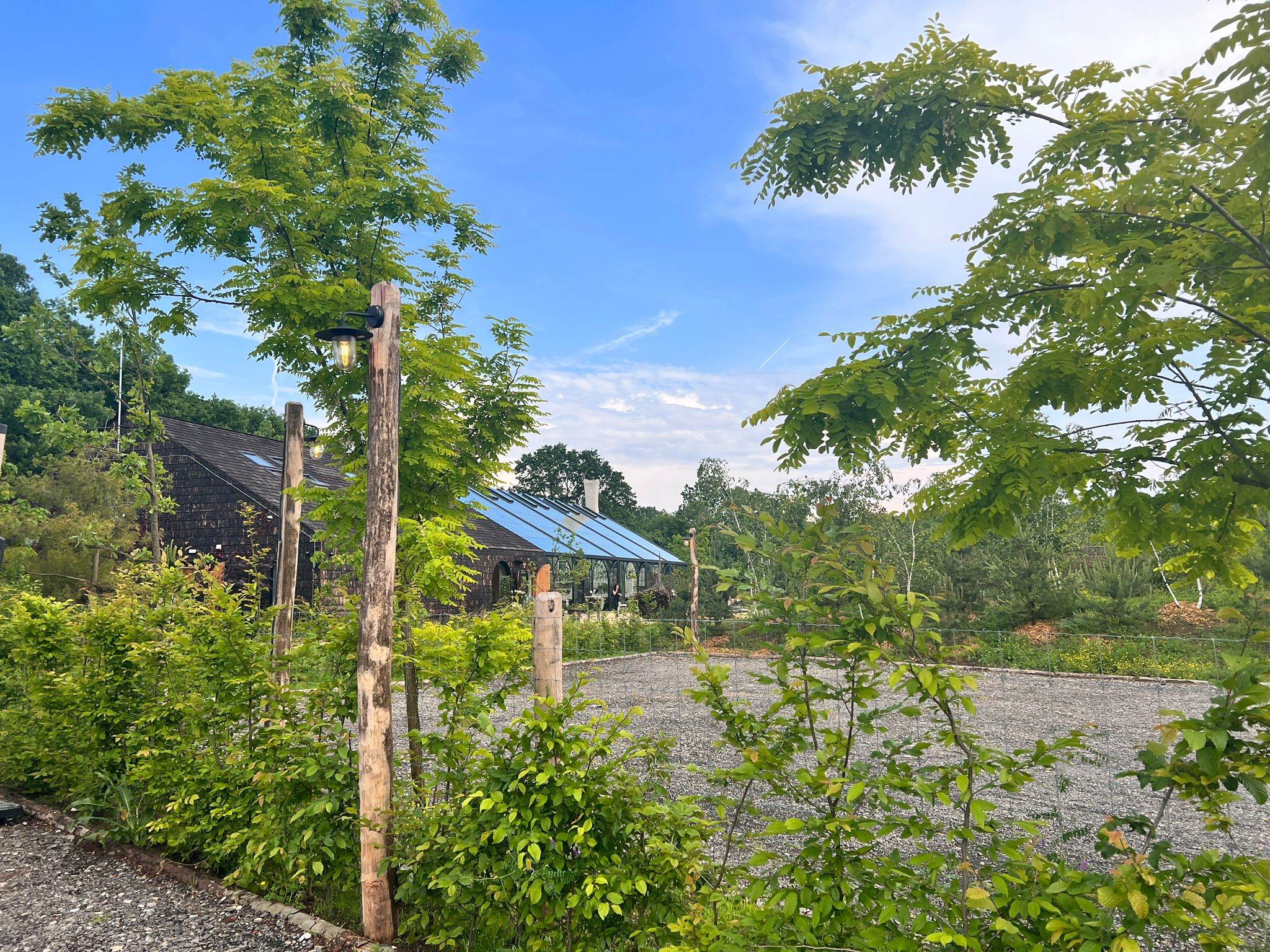 Gina Pistol și Smiley, primele imagini din ziua nunții