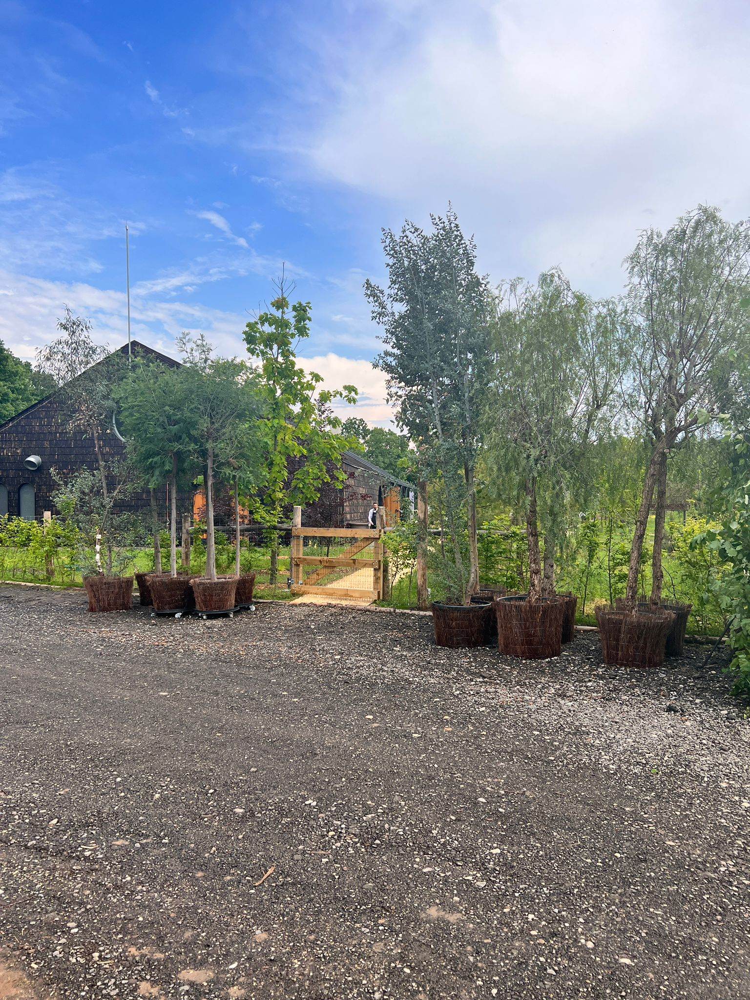 Gina Pistol și Smiley, primele imagini din ziua nunții