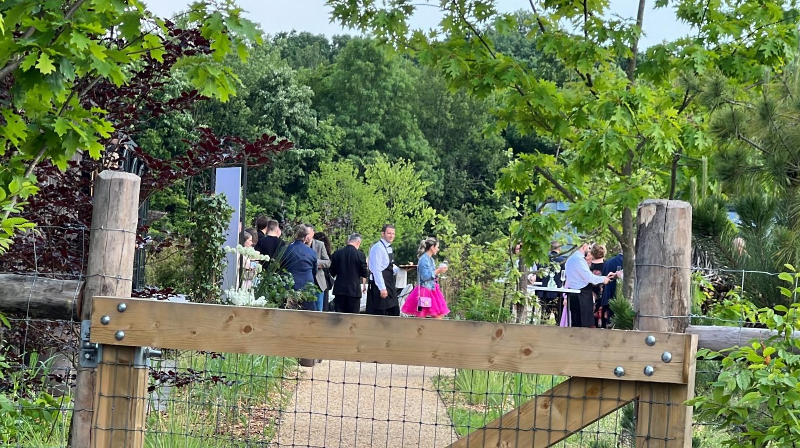 Nunta lui Smiley cu Gina Pistol, imagini de la petrecere