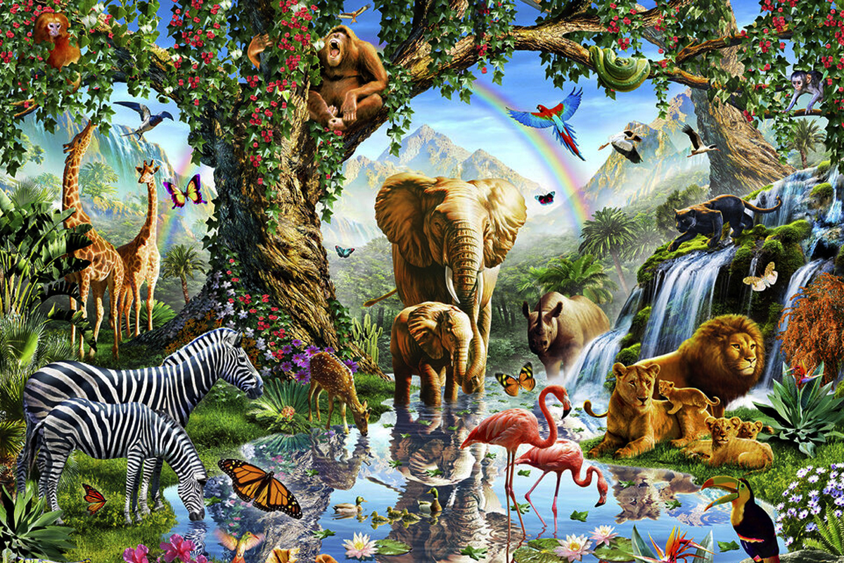 Primul animal care a aparut pe lume. Care este de fapt, anuntul specialistilor. Descoperire istorica