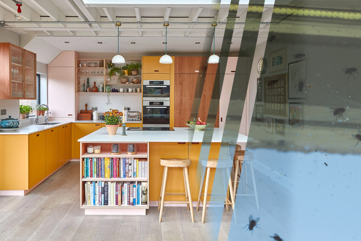 Trucul care ține departe musculițele de casa ta