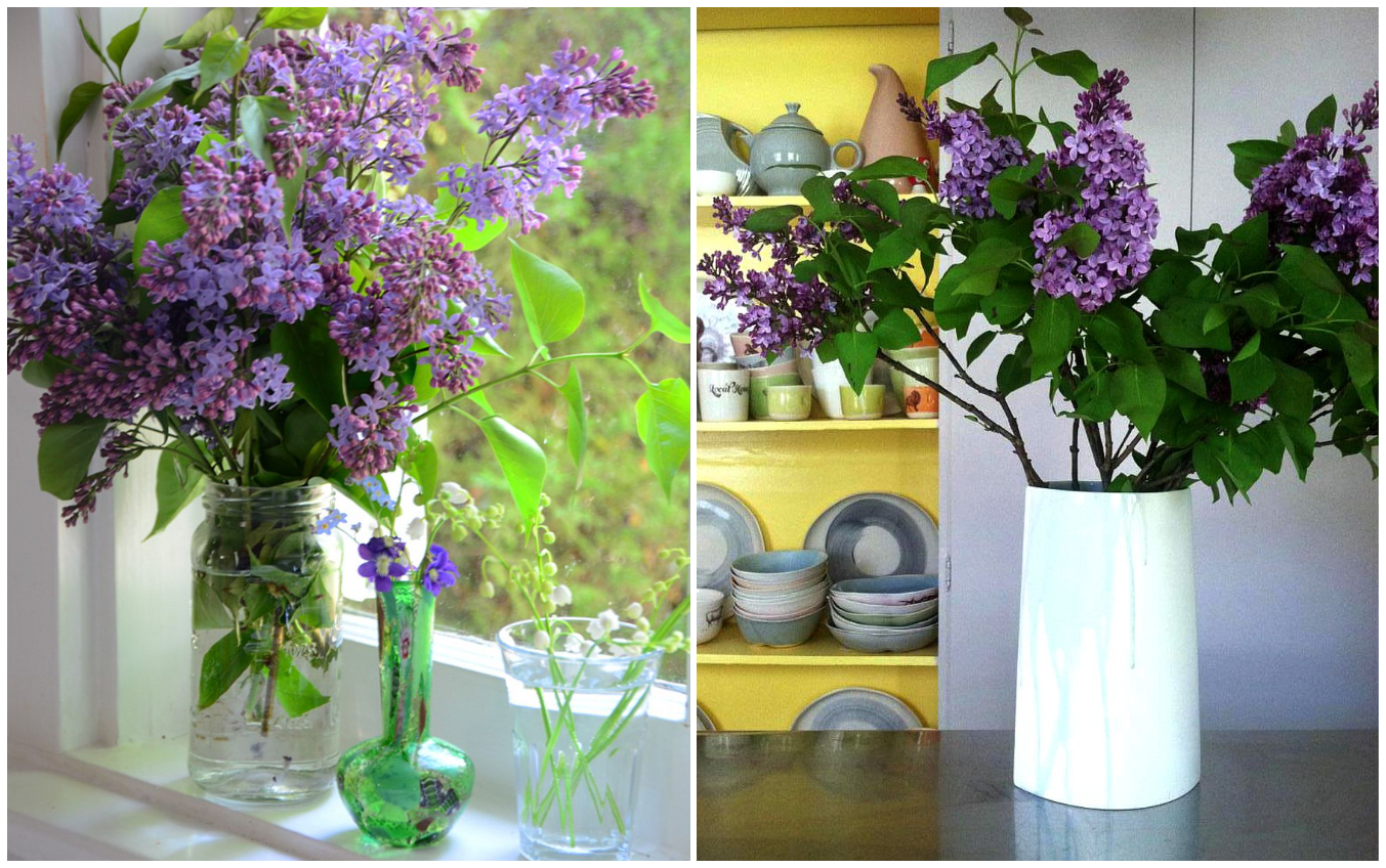 Trucul pentru ca florile de liliac să reziste mai mult timp în vază