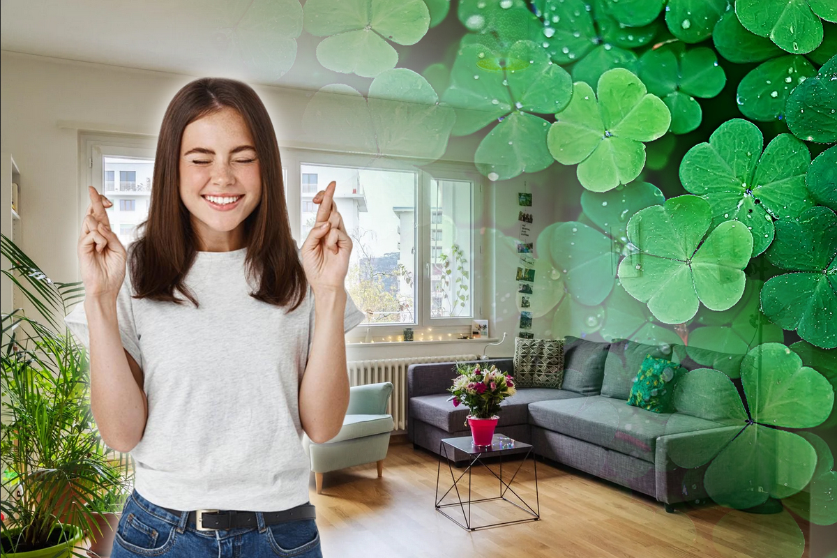 Obiectele care atrag bogăția ca un magnet