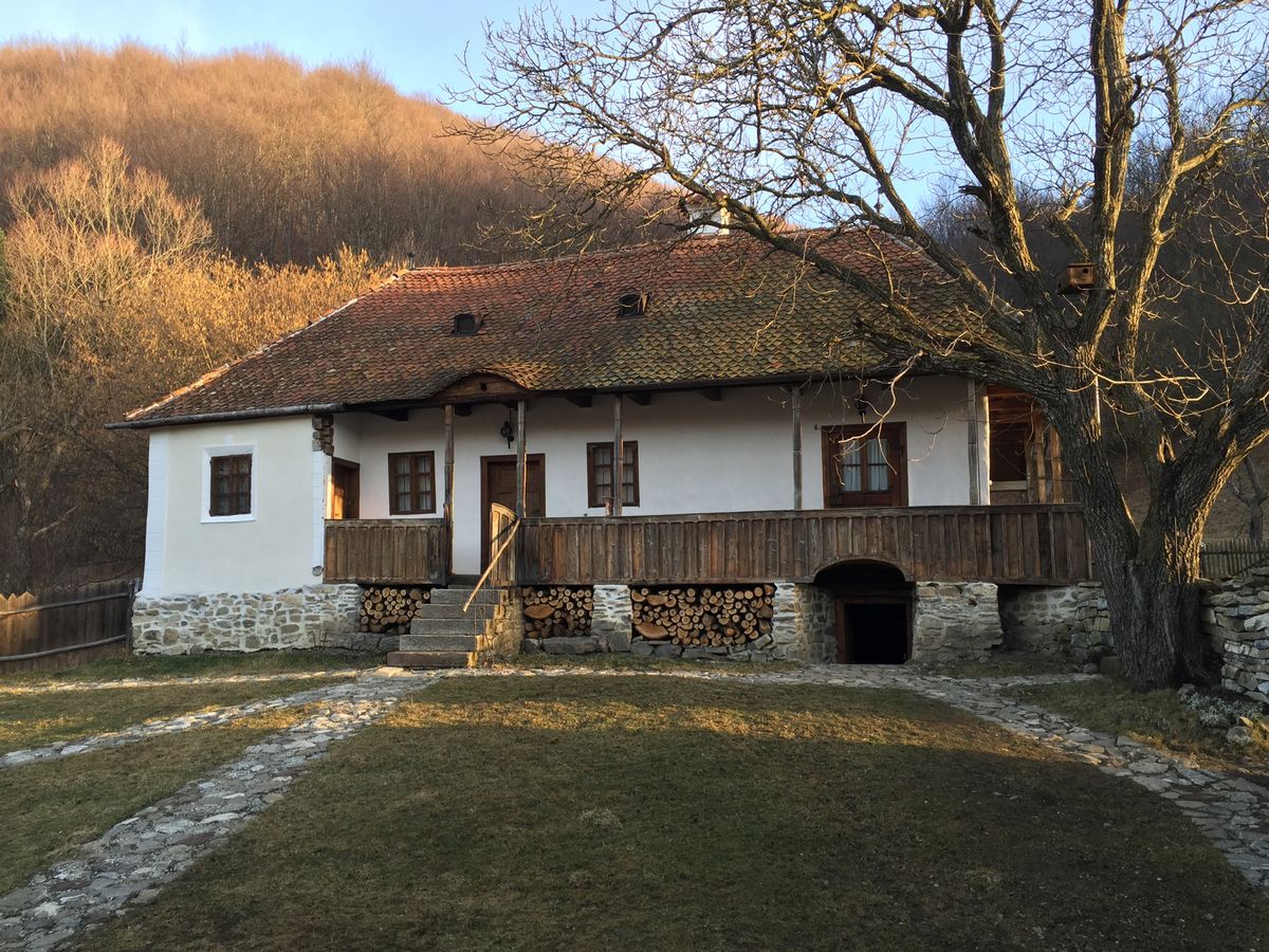 Cum arată casa din România a regelui Charles