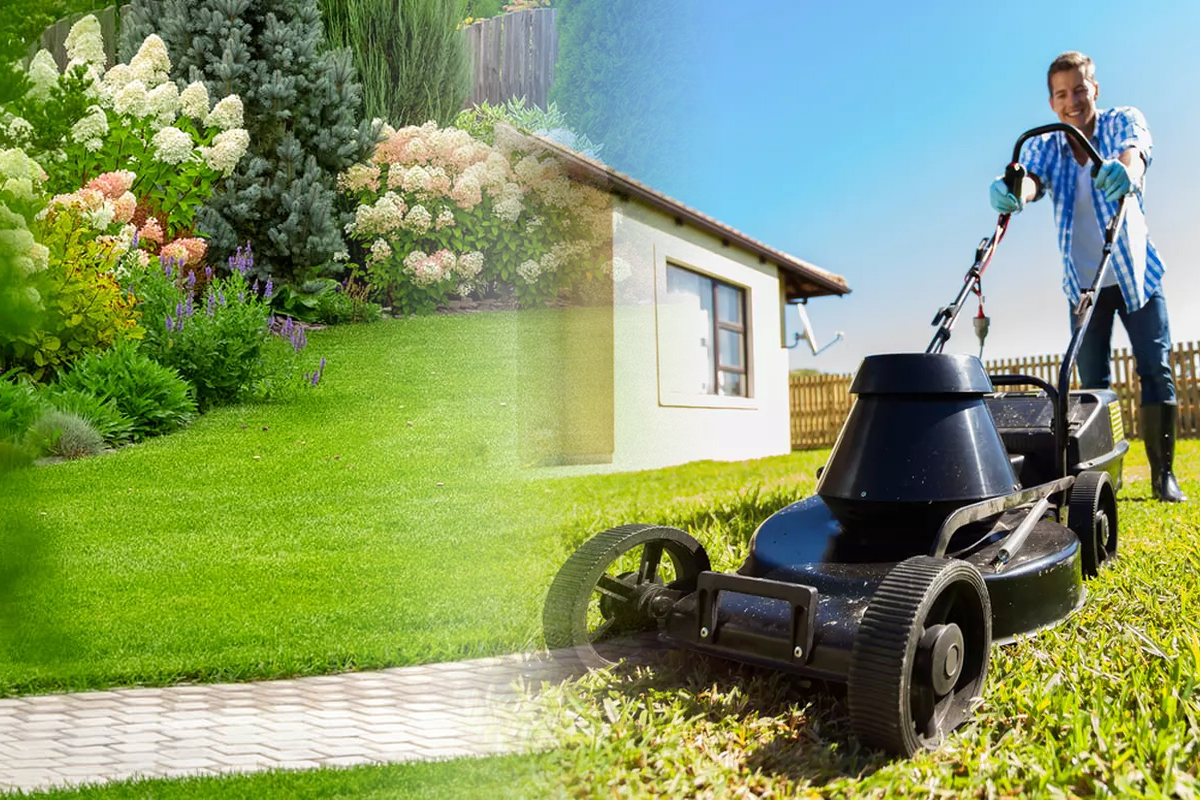 Când se tunde gazonul și cât e bine să iei din el