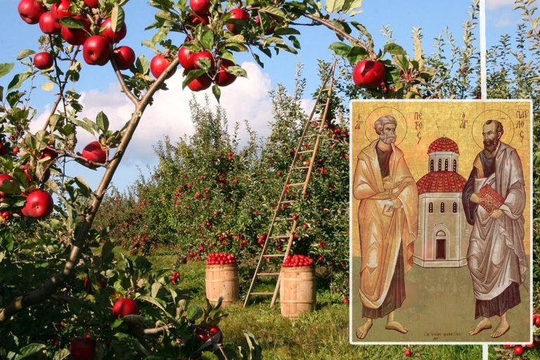 Ce se face de Sfinții Petru și Pavel. Tradiția care se respectă pentru a avea roade bogate tot restul anului
