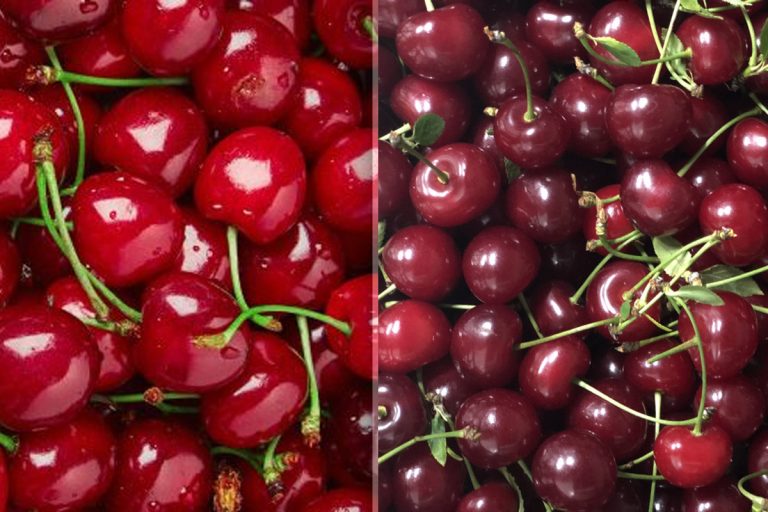 Cel mai rapid truc pentru a scoate sâmburii de la cireșe sau vișine. Metoda e chiar banală, o vei folosi mereu