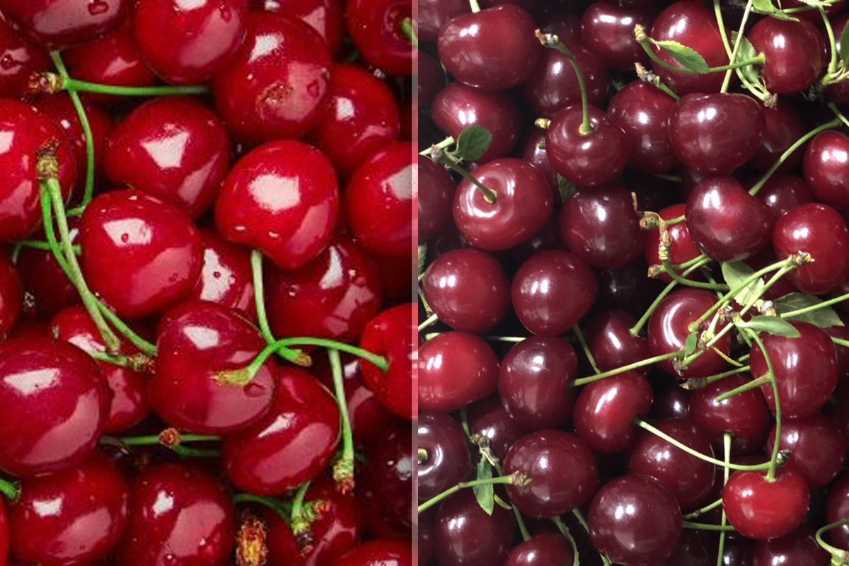 Metoda simplă prin care poți scoate sâmburii din cireșe și vișine