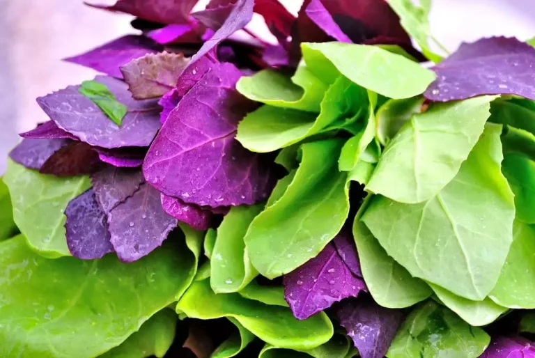 Ingredientul pe care să-l adaugi în ciorba de lobodă pentru un plus de savoare. Așa o vei prepara mereu, e cea mai bună rețetă