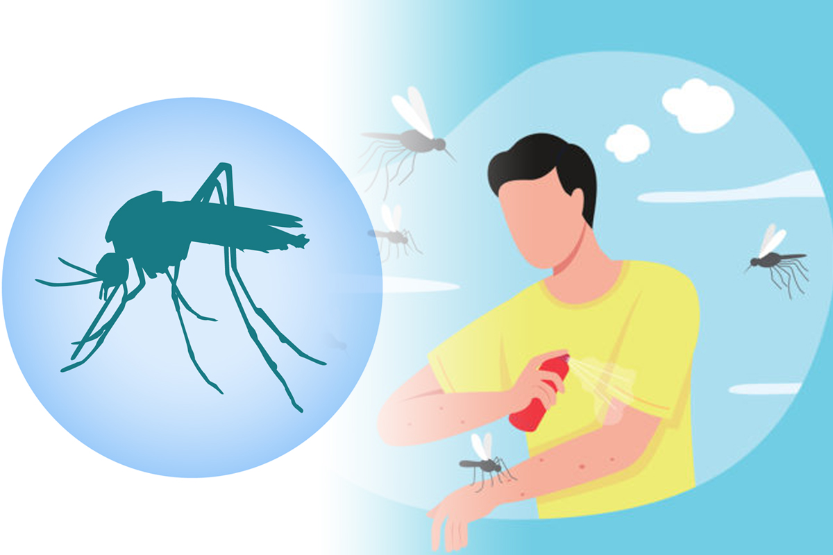 Cum poți să scapi de țânțari. Cele mai simple și eficiente soluții care sunt la îndemâna oricui