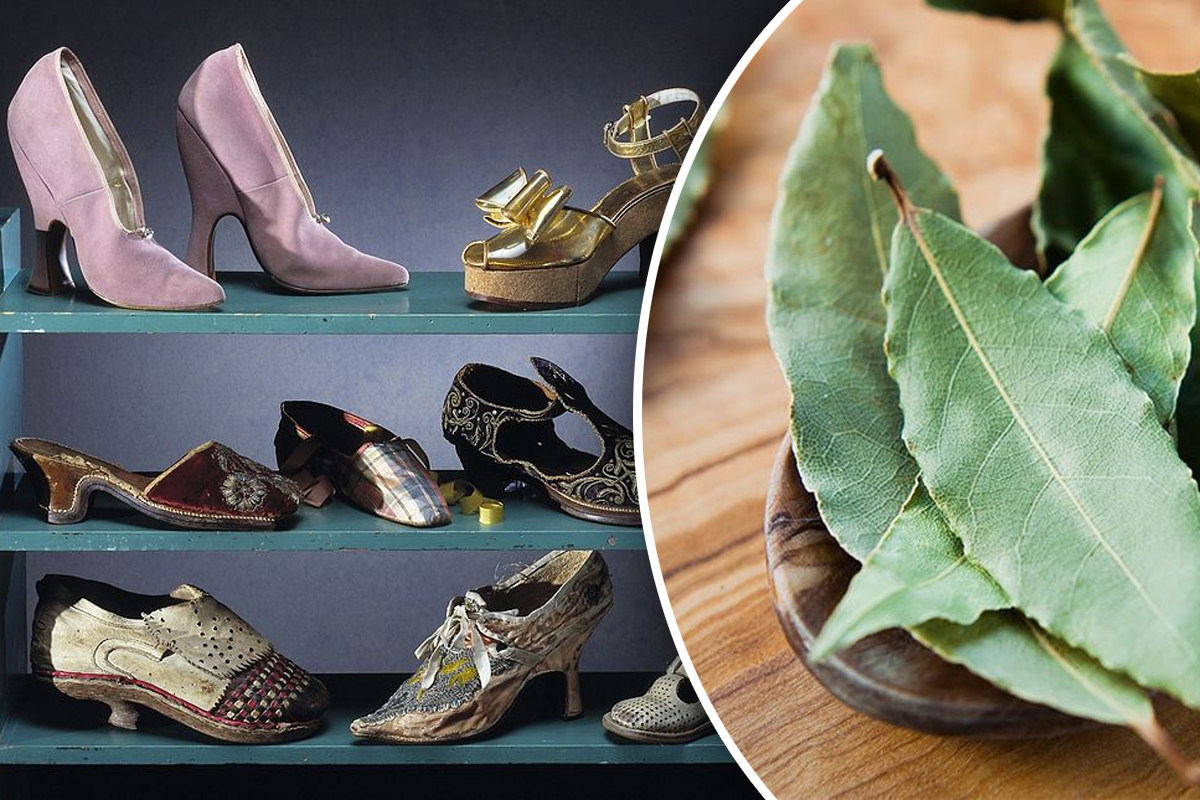 De ce să pui o frunză de dafin în pantofi