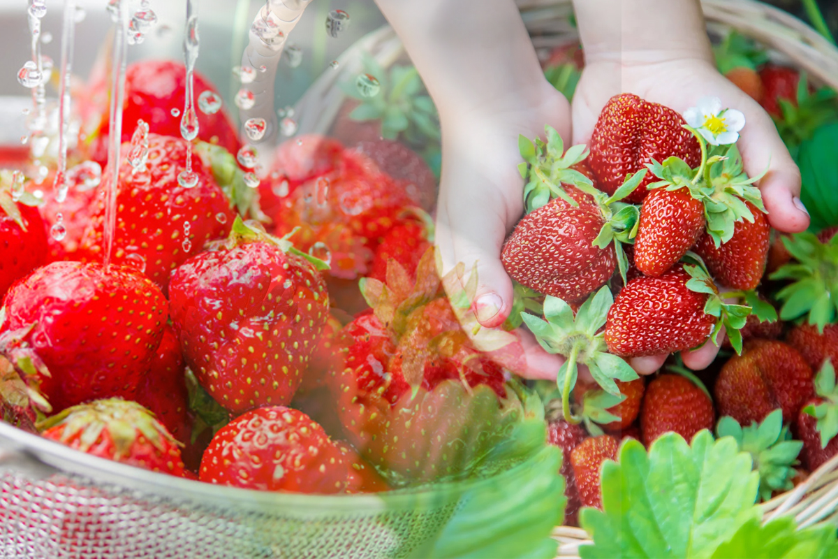 De ce să speli căpșunile în apă cu sare înainte să le consumi