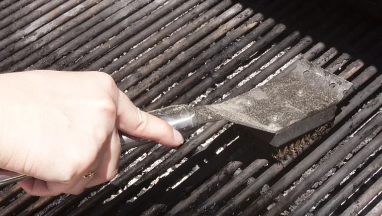 Leguma cu care poți să cureți grătarul, înainte de a găti carnea. Trucul uimitor de mare ajutor