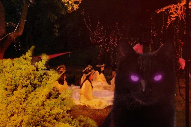 Tradiții, superstiții și obiceiuri de Sânziene 2023. Ce este bine să faci pentru a fi ferit de boli și de necazuri