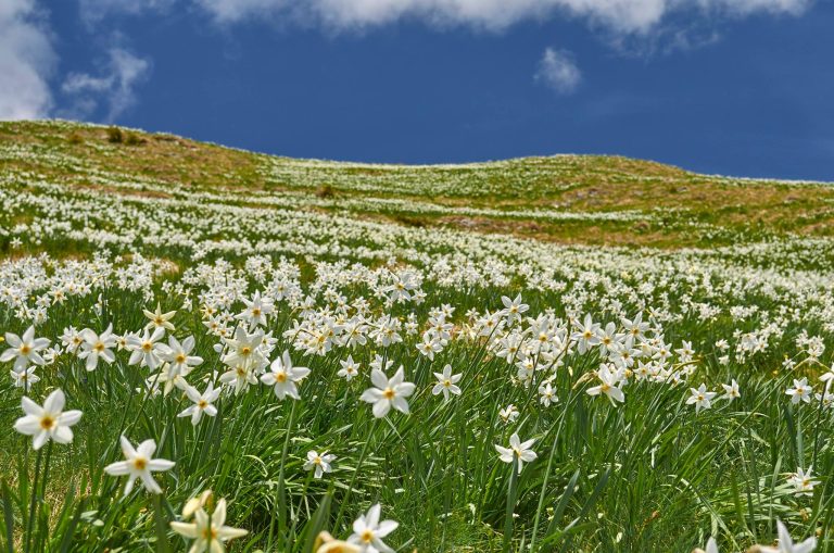 Locul din România unde oamenii nu au voie să fotografieze sau să filmeze. Riști amendă dacă faci asta, legea arată clar