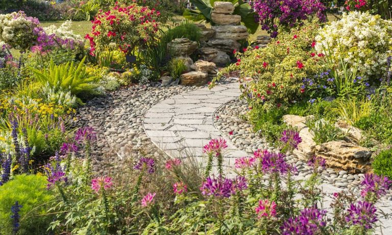 Amestecul extraordinar care distruge toate buruienile. Ce trebuie să faci de fapt de fapt, așa te vei bucura de o grădină frumoasă