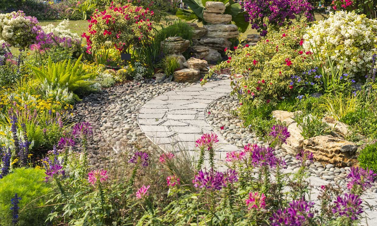 erbicid natural împotriva buruienilor