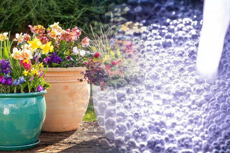 A pulverizat apă oxigenată pe plantele din ghiveci, iar efectele nu au întârziat să apară. Trucul uimitor care îți salveză florile din casă